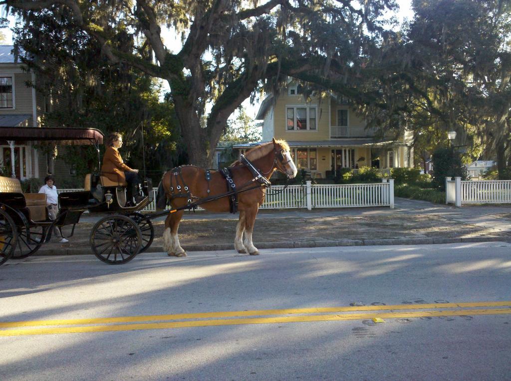 Hoyt House Luxury Bed & Breakfast Fernandina Beach Extérieur photo